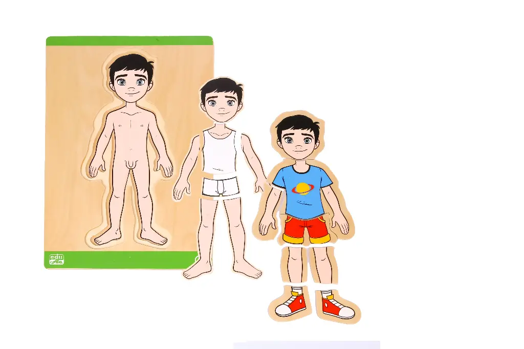 Building Up Body Parts Puzzles (Boy)  (3 layers)