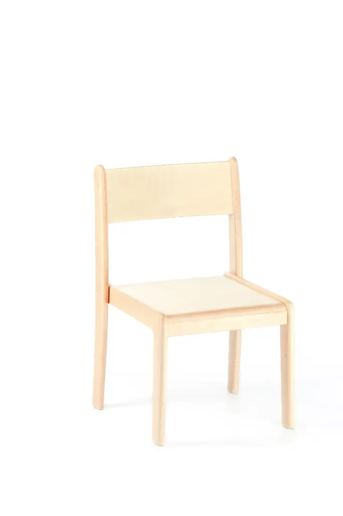 Deluxe teacher Low Chair  