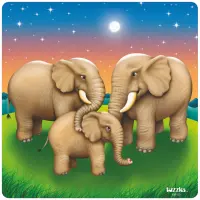 [R30-003] Animal Family- Elephants