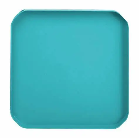 Fun 2 Play Tray