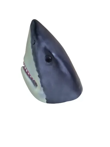 [2830] 8 Shark Head Box