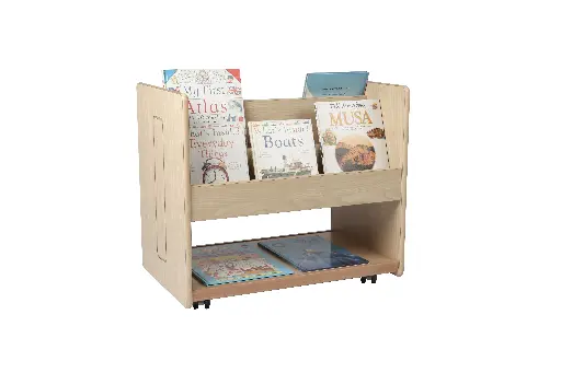 Mobile Book Browser Unit